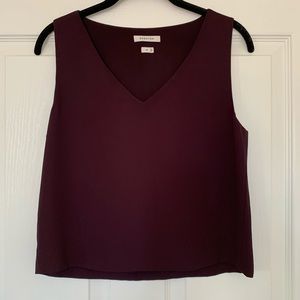 Aritzia Babaton cropped v neck tank